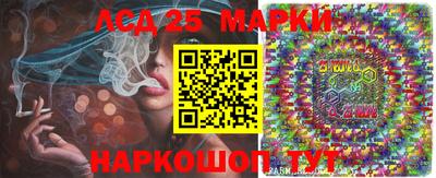 ECSTASY Новозыбков